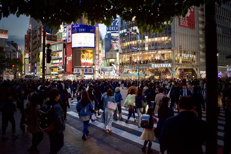 Tokyo Metropolis